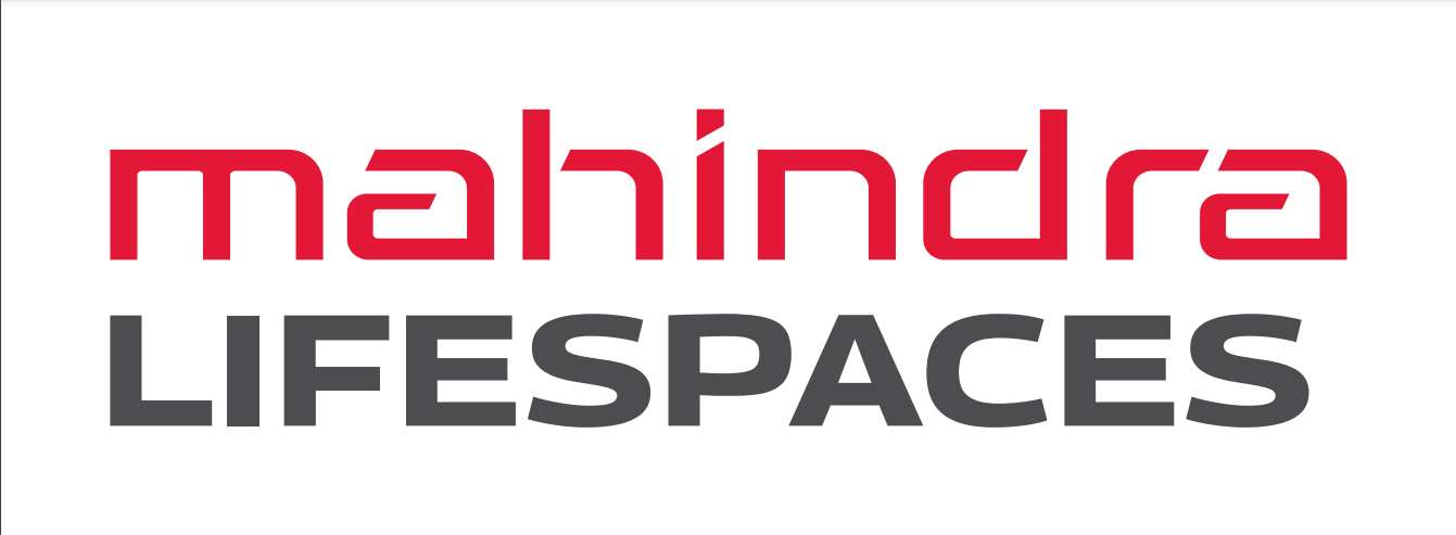 Developer